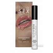Спрей для усиления слюноотделения Slow Sex Mouthwatering Spray - 13 мл. - Bijoux Indiscrets - купить с доставкой в Хабаровске