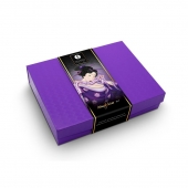 Подарочный набор Naughter Kit - Shunga - купить с доставкой в Хабаровске
