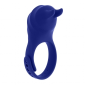 Синее эрекционное виброкольцо с клиторальной подушечкой и пультом ДУ Adjustable Fun Ring - Zero Tolerance - в Хабаровске купить с доставкой
