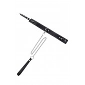 Кожаный двухслойный ошейник с белой строчкой и поводком - Pecado - купить с доставкой в Хабаровске