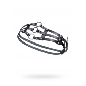 Черный кожаный пояс с кольцами - Pecado - купить с доставкой в Хабаровске