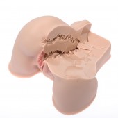 Мастурбатор-полуторс Naked Factory Kate - Naked Factory - в Хабаровске купить с доставкой