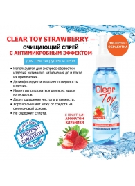 Очищающий спрей для игрушек CLEAR TOY Strawberry - 100 мл. - Биоритм - купить с доставкой в Хабаровске
