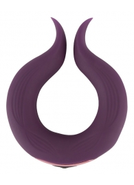 Вибратор для пар Two Motors Couple’s Ring в форме кольца - Orion - в Хабаровске купить с доставкой