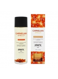 Органическое массажное масло CARNELIAN APRICOT - 100 мл. - Exsens - купить с доставкой в Хабаровске