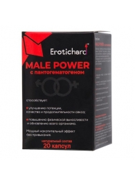 Капсулы для мужчин Erotichard male power с пантогематогеном - 20 капсул (0,370 гр.) - Erotic Hard - купить с доставкой в Хабаровске