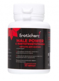 Капсулы для мужчин Erotichard male power с пантогематогеном - 20 капсул (0,370 гр.) - Erotic Hard - купить с доставкой в Хабаровске