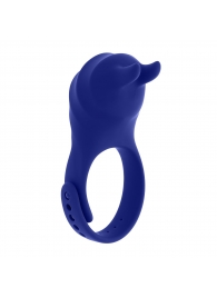 Синее эрекционное виброкольцо с клиторальной подушечкой и пультом ДУ Adjustable Fun Ring - Zero Tolerance - в Хабаровске купить с доставкой