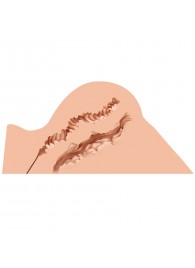 Мастурбатор-полуторс Naked Factory Hannah - Naked Factory - в Хабаровске купить с доставкой