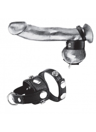 Утяжка для мошонки и пениса Cock Ring With 1  Ball Stretcher And Optional Weight Ring - BlueLine - купить с доставкой в Хабаровске