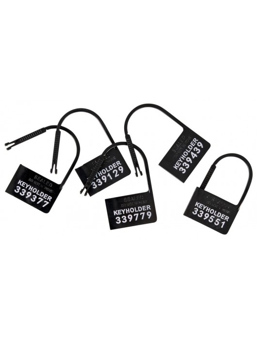 Набор для мужского пояса верности Cock Cage Set - Orion - купить с доставкой в Хабаровске