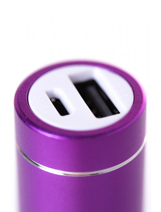 Портативное зарядное устройство A-toys 2400 mAh microUSB - A-toys - купить с доставкой в Хабаровске