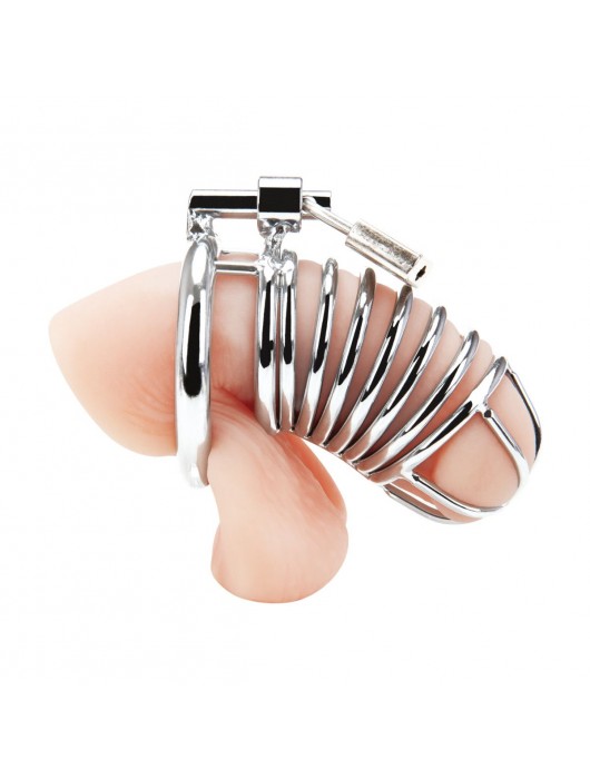 Металлическая клетка Deluxe Сhastity Сage с замком - BlueLine - купить с доставкой в Хабаровске