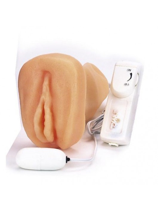 Мастурбатор-вагина с вибрацией ELLY POCKET PAL VAGINA MULTISPEED - NMC - в Хабаровске купить с доставкой