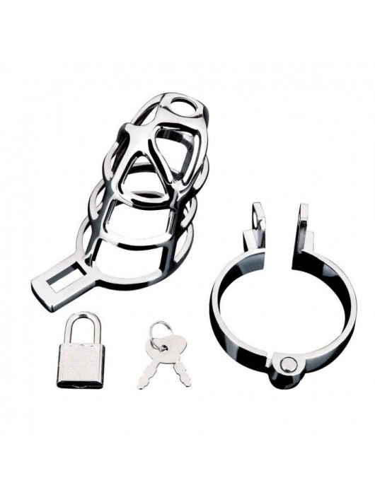 Серебристая металлическая клетка для члена с замком Enslave Cock Cage - BlueLine - купить с доставкой в Хабаровске