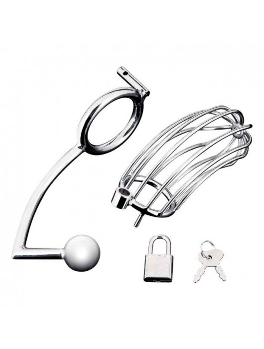 Серебристая металлическая клетка с анальным стимулятором Cock Cage - BlueLine - купить с доставкой в Хабаровске