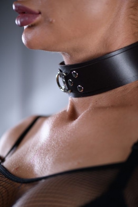 Коричневый ошейник Sex Game с поводком - БДСМ Арсенал - купить с доставкой в Хабаровске