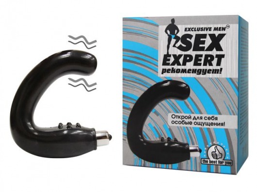 Чёрный массажёр простаты серии Sex Expert - Sex Expert - в Хабаровске купить с доставкой