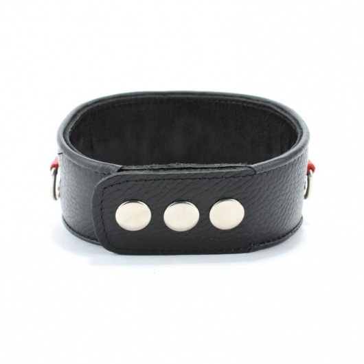 Кожаный ошейник с металлическими клепками - БДСМ Арсенал - купить с доставкой в Хабаровске