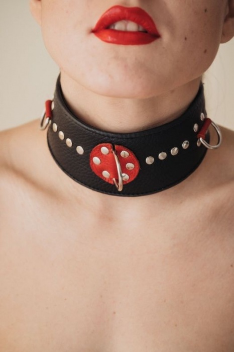 Кожаный ошейник с металлическими клепками - БДСМ Арсенал - купить с доставкой в Хабаровске
