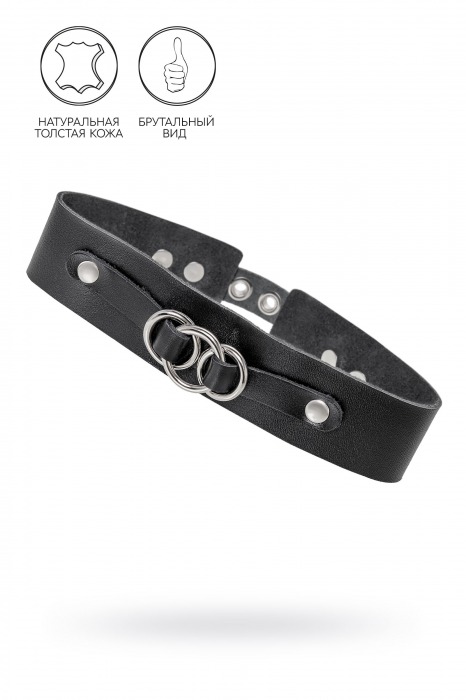 Черный чокер-ошейник со связанными кольцами на подложке - Pecado - купить с доставкой в Хабаровске