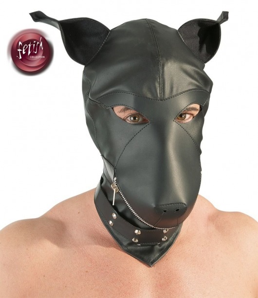 Шлем-маска Dog Mask в виде морды собаки - Orion - купить с доставкой в Хабаровске