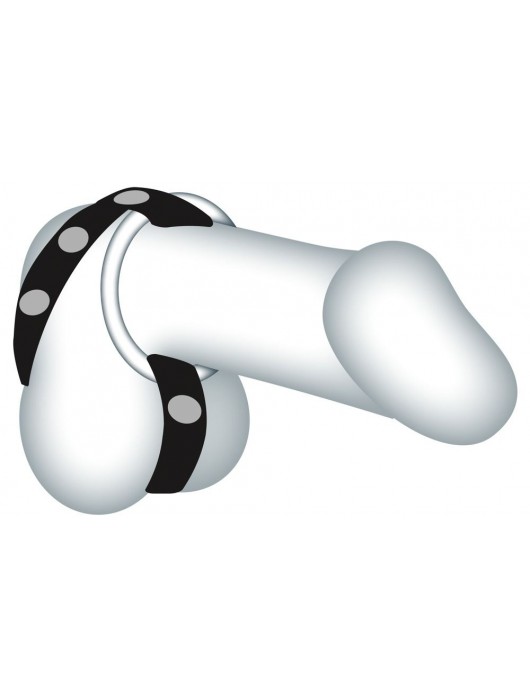 Подхват для мошонки с 3 съемными эрекционными кольцами Leder-Riemen - Orion - в Хабаровске купить с доставкой