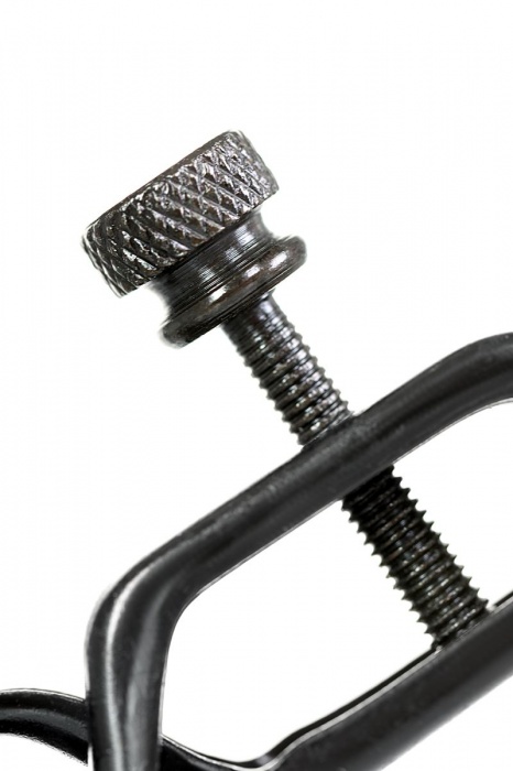 Черно-золотистые зажимы для сосков TOYFA Theatre - ToyFa - купить с доставкой в Хабаровске