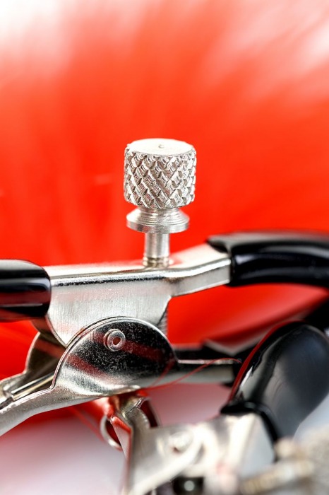 Зажимы для сосков с красным пухом Theatre - ToyFa - купить с доставкой в Хабаровске