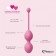 Набор из 3 розовых вагинальных шариков FemmeFit Advanced Pelvic Muscle Training Set - FeelzToys в Хабаровске Набор из 3 розовых вагинальных шариков FemmeFit Advanced Pelvic Muscle Training Set - FeelzToys